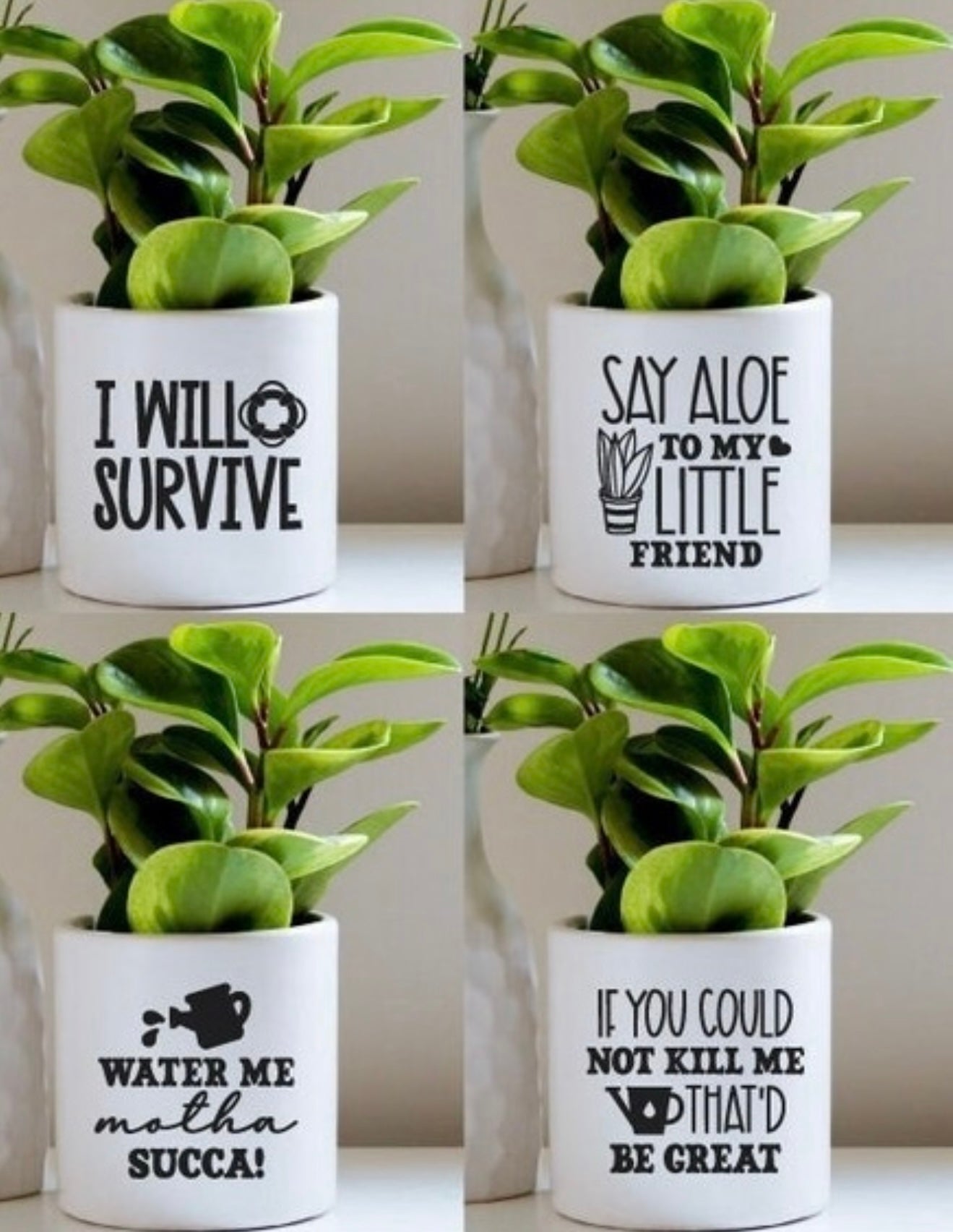 Custom Plant Holders