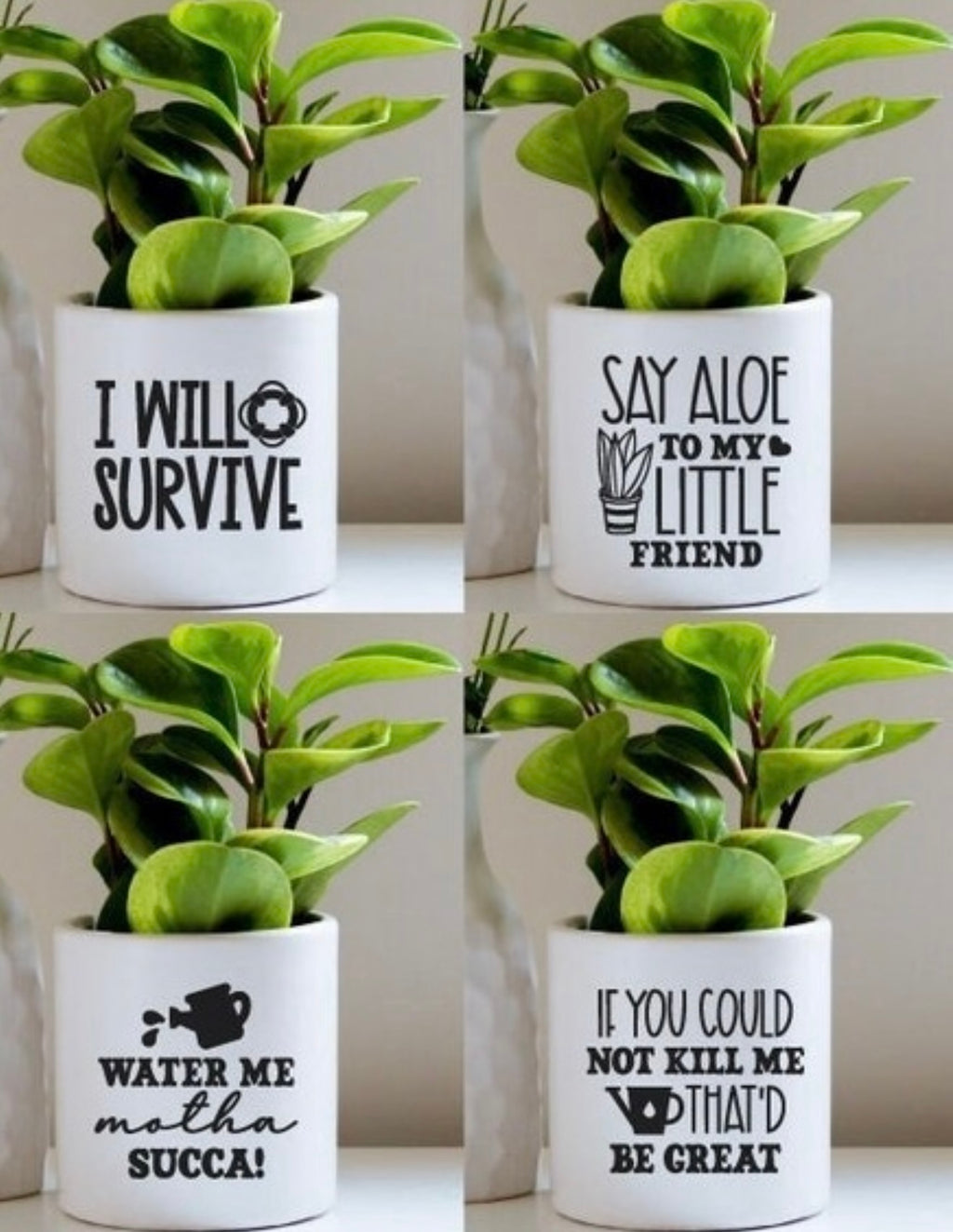 Custom Plant Holders