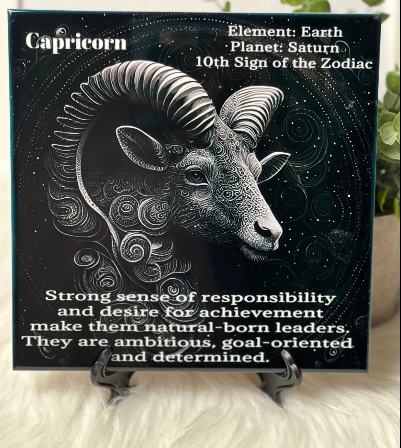 Capricorn Tile Slate