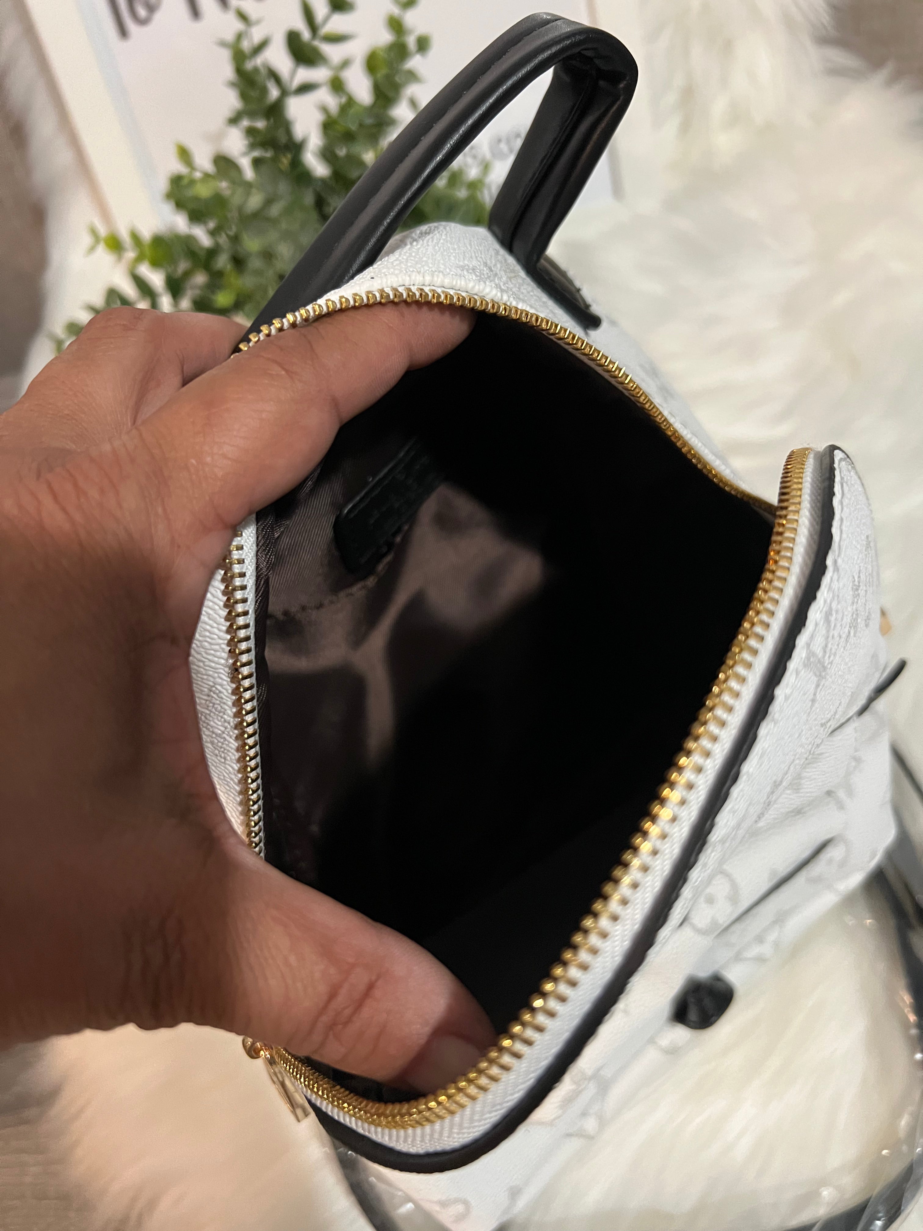 LV backpack